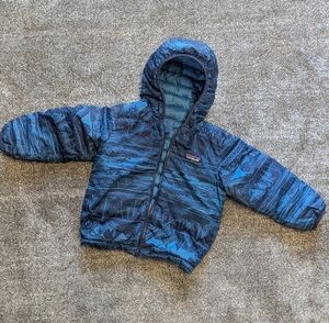 Patagonia Puffer Jacket